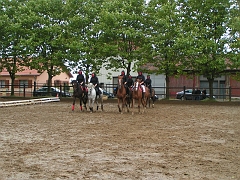 PO 2008 (34)